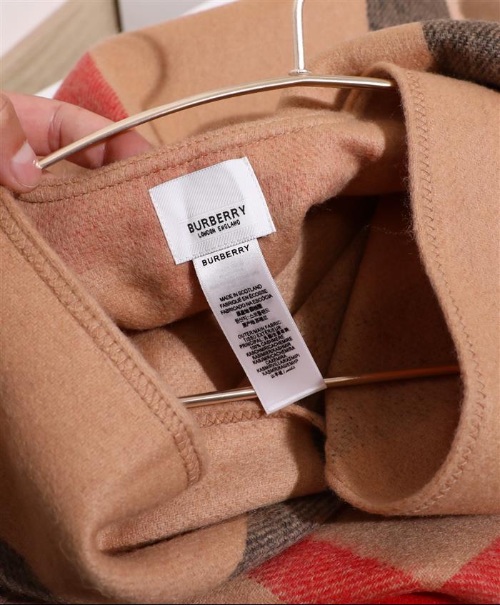 2026116111744313 100